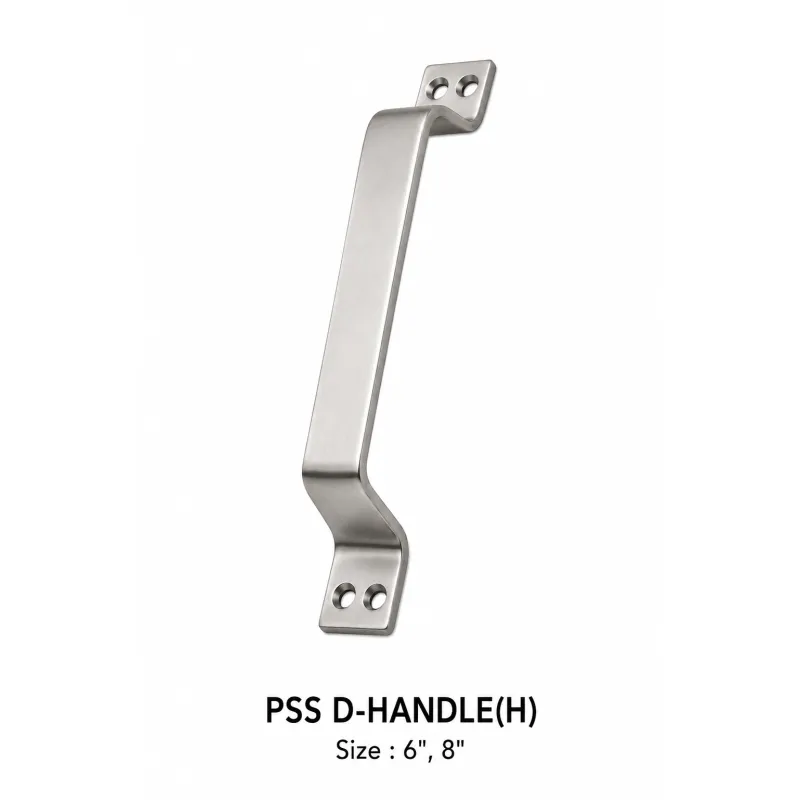 P SS D – HANDLE (H)